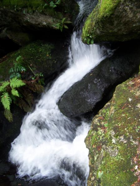 VacaNces en AveyrOn