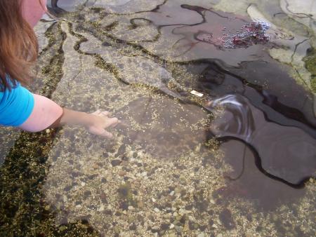 VacaNces en Bretagne